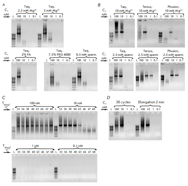 Modern Approaches to de novo Synthesis of Extended DNA Fragments: Assembly of a Wide Repertoire of Sequences.