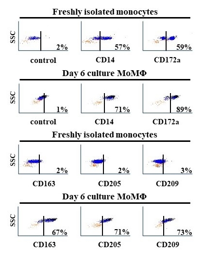 Use of RNA-seq to identify genes encoding cytokines and chemokines activated following uptake and processing a candidate peptide vaccine developed against <i>Mycobacterium avium</i> subsp. <i>paratuberculosis</i>.