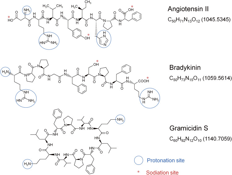 Pulsed Nano-Electrospray Ionization Applied to Solutions of Angiotensin II, Bradykinin, and Gramicidin S in Water/Acetonitrile (1/1) with the Addition of 1% Acetic Acid and 10 mM Ammonium Acetate.