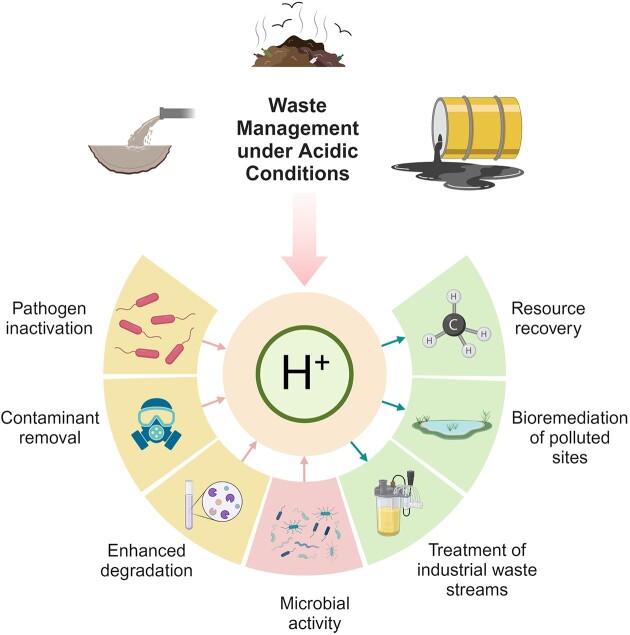 Exploitation of microbial activities at low pH to enhance planetary health.