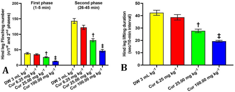 Effect of curcumin on formalin-induced muscle pain in male rats: role of local cyclooxygenase system.