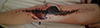 Abstract Image