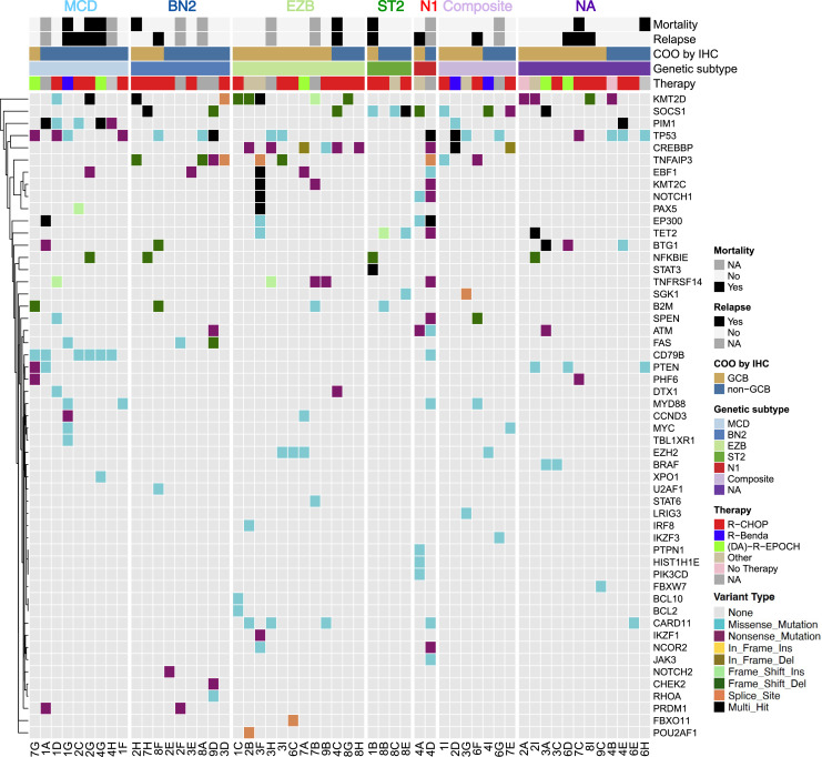 Molecular Characterization and Genetic Subclassification Comparison of Diffuse Large B-Cell Lymphoma: Real-Life Experience with 74 Cases.