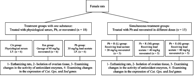 Protective effects of resveratrol on the expression of <i>catalase, glutathione peroxidase</i>, and <i>superoxide dismutase</i> genes in the ovary and their activity in the serum of rats exposed to lead acetate: An experimental study.