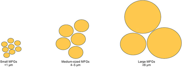 Milk Fat Globules: 2024 Updates.