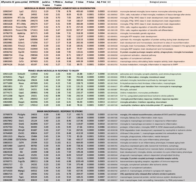 The Impact of Juvenile Microglia Transcriptomics on the Adult Brain Regeneration after Cerebral Ischemia.