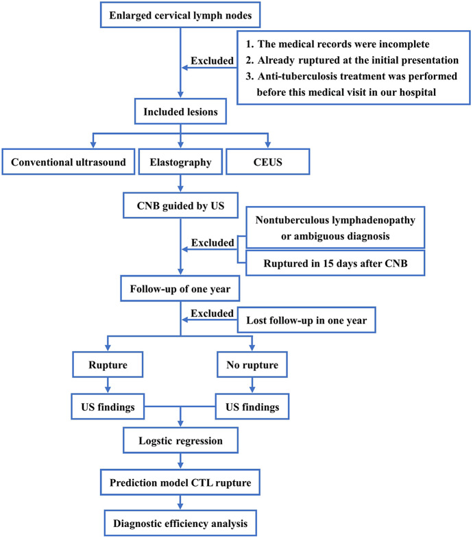 Application of ultrasound multimodal imaging in the prediction of cervical tuberculous lymphadenitis rupture.