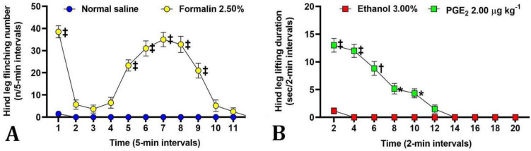 Effect of curcumin on formalin-induced muscle pain in male rats: role of local cyclooxygenase system.