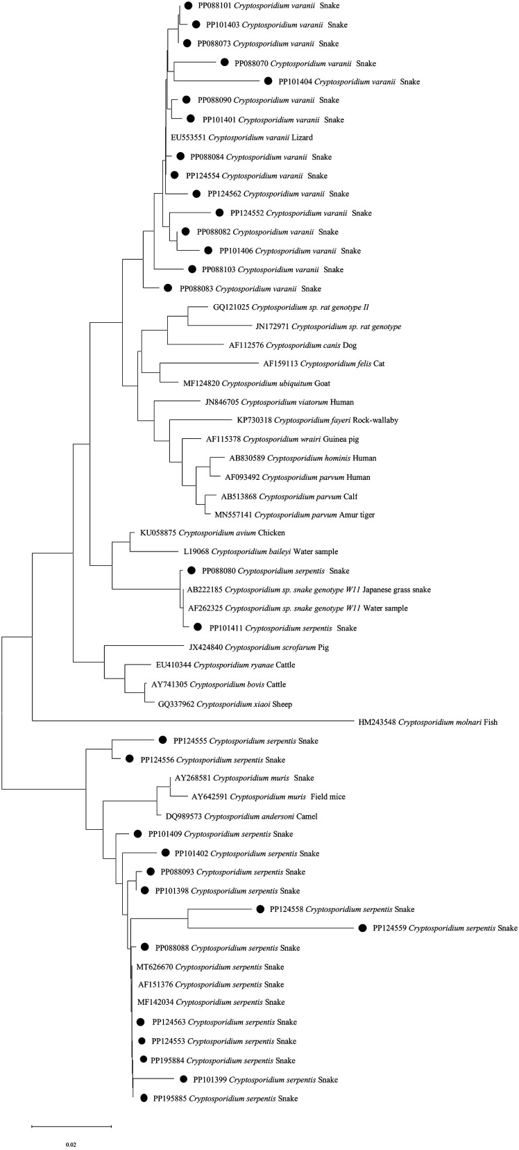Cryptosporidium spp. in captive snakes from 26 provinces in China: Prevalence, molecular characterization, and symptoms.