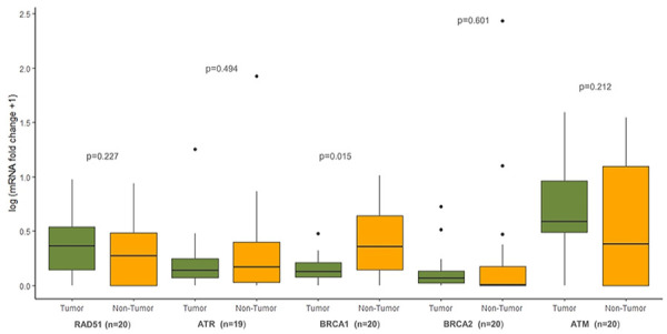 mRNA Expression and Methylation of the <i>RAD51</i>, <i>ATM</i>, <i>ATR</i>, <i>BRCA1</i>, and <i>BRCA2</i> Genes in Gastric Adenocarcinoma.