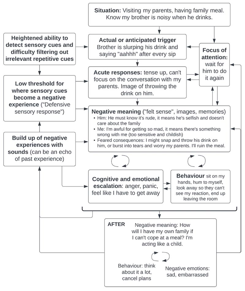 Targeting beliefs and behaviours in misophonia: a case series from a UK specialist psychology service.