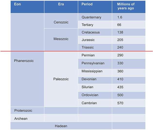 Milk Fat Globules: 2024 Updates.