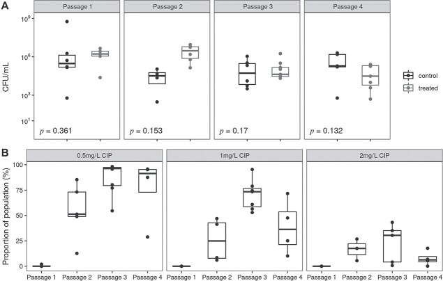 In vivo evolution of antimicrobial resistance in a biofilm model of Pseudomonas aeruginosa lung infection.