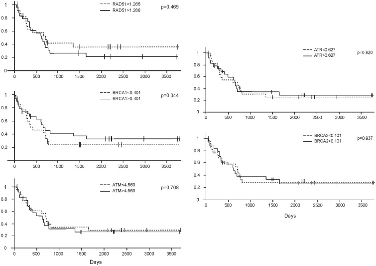 mRNA Expression and Methylation of the <i>RAD51</i>, <i>ATM</i>, <i>ATR</i>, <i>BRCA1</i>, and <i>BRCA2</i> Genes in Gastric Adenocarcinoma.