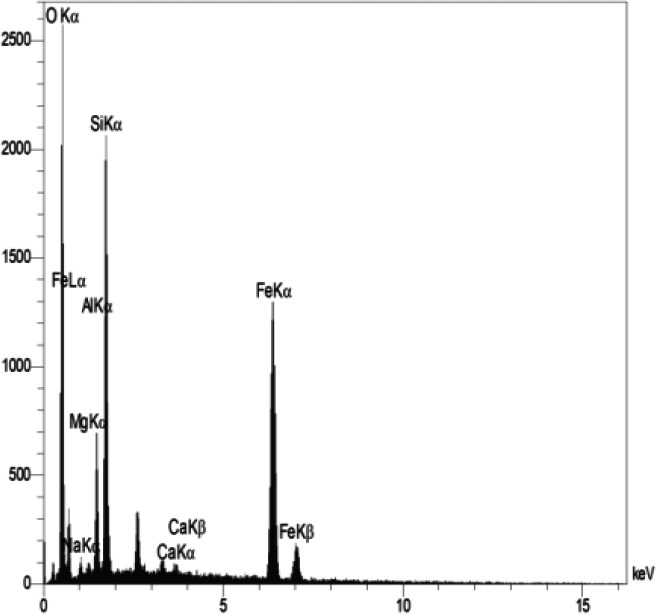 Dietary incorporation of magnetic bentonite nanocomposite: impacts on <i>in vitro</i> fermentation pattern, nutrient digestibility, and growth performance of Baluchi male lambs.