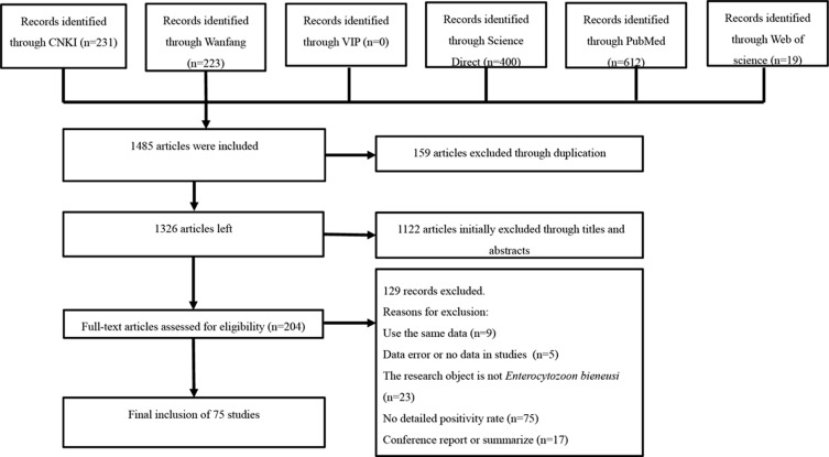 Global prevalence and risk factors of Enterocytozoon bieneusi infection in humans: a systematic review and meta-analysis.
