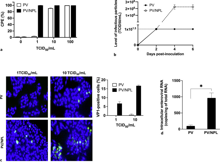 Nanoparticles with a Lipid Core Can Enhance the Infection of Epithelial Cells with an Enterovirus.