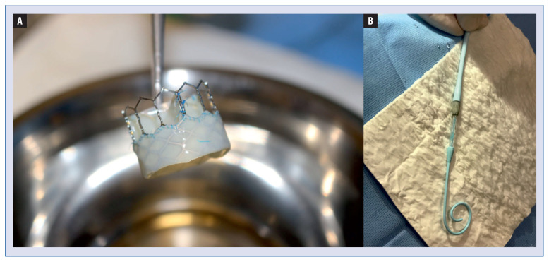 Long-term bio-functional performance of a novel, self-positioning balloon expandable transcatheter biological aortic valve system in the ovine aortic banding model.