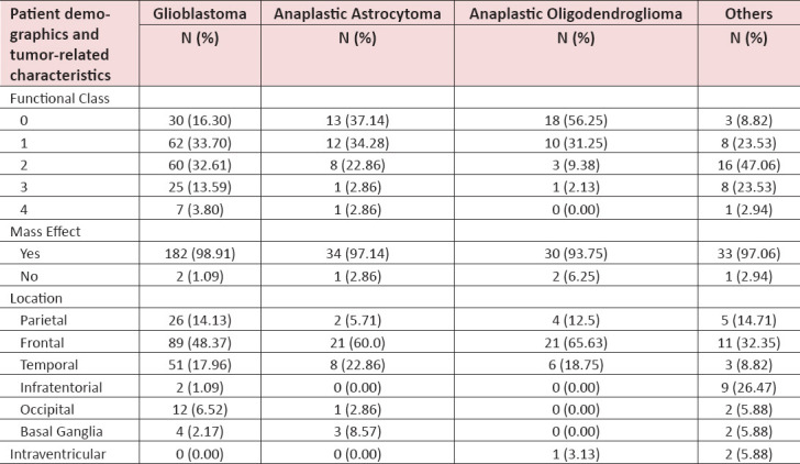 Survival Analysis and Correlates with Molecular Epidemiology: 10-Year Retrospective Series of High-Grade Glioma in Pakistan.
