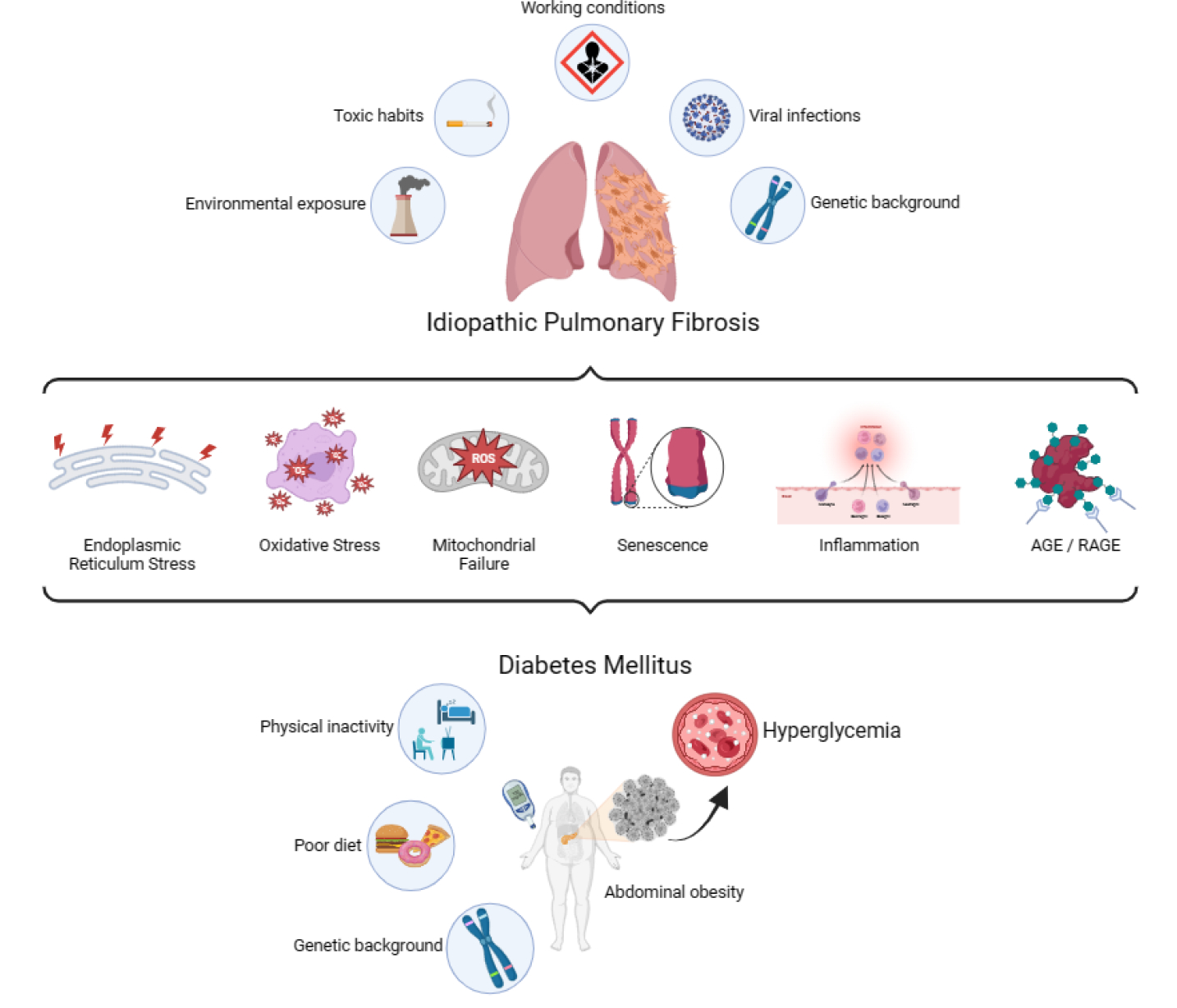 Pulmonary Fibrosis and Diabetes Mellitus: Two coins with the same face.