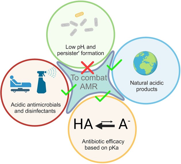 Exploitation of microbial activities at low pH to enhance planetary health.