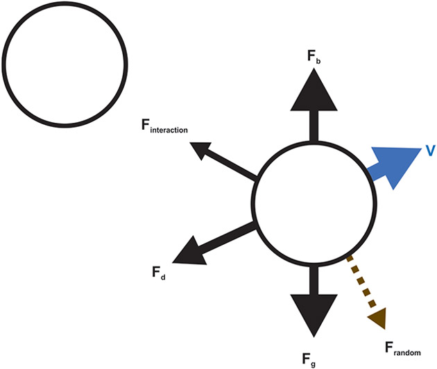 Milk Fat Globules: 2024 Updates.