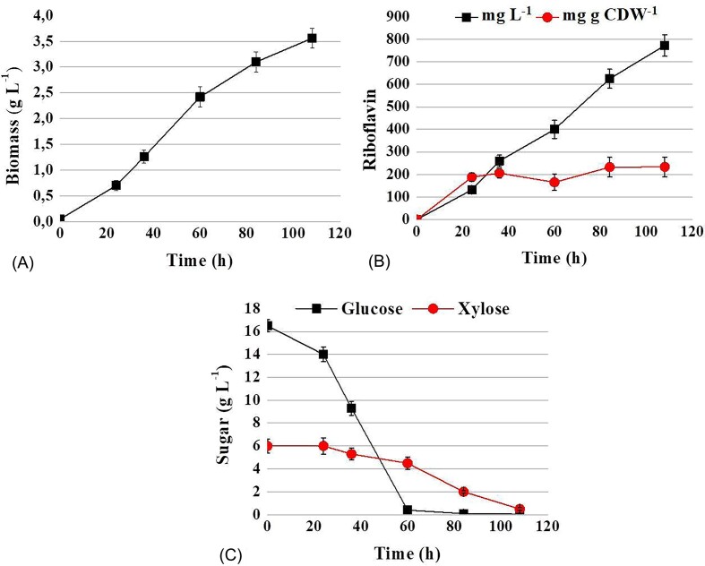 Riboflavin overproduction on lignocellulose hydrolysate by the engineered yeast Candida famata.