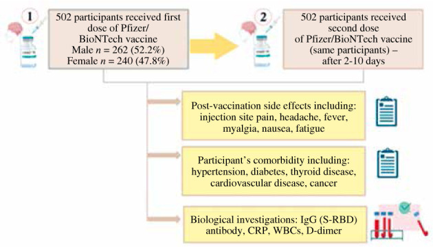 A study on the side effects caused by the Pfizer/BioNTech COVID-19 vaccine: Focus on IgG antibodies and serological biomarkers.