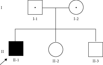 Delayed Diagnosis of Perrault Syndrome: A Rare Genetic Disorder.