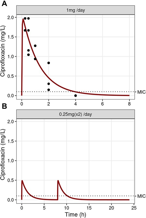 In vivo evolution of antimicrobial resistance in a biofilm model of Pseudomonas aeruginosa lung infection.