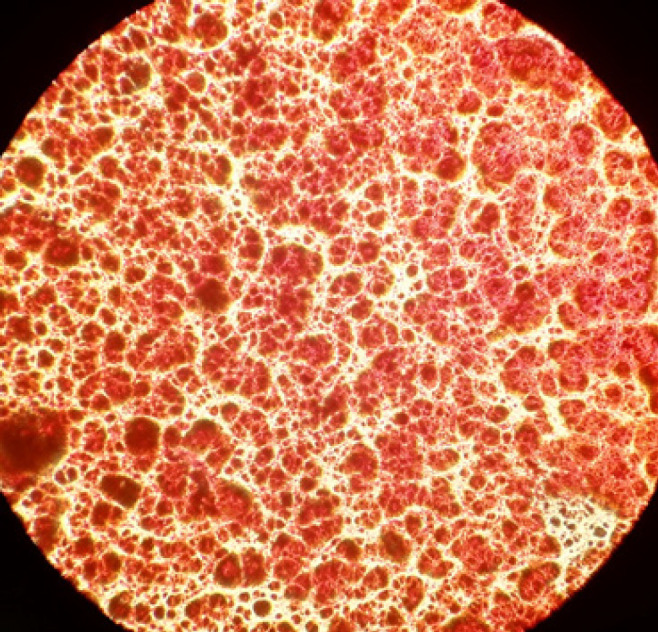 Abstract Image