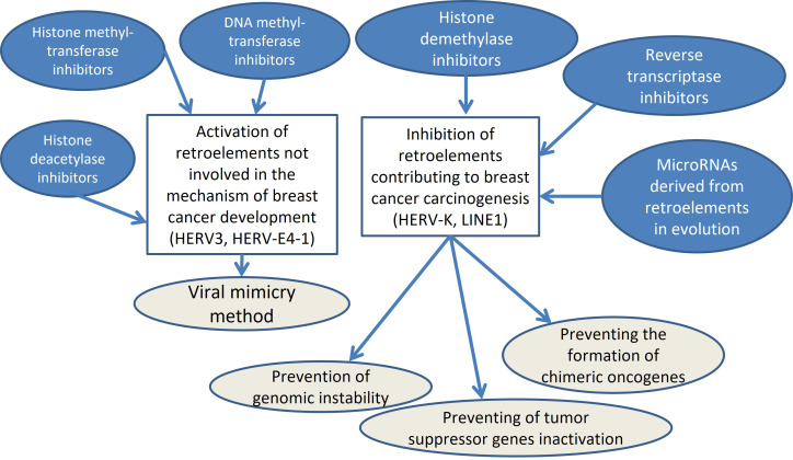 Prospects for breast cancer immunotherapy using microRNAs and transposable elements as objects.