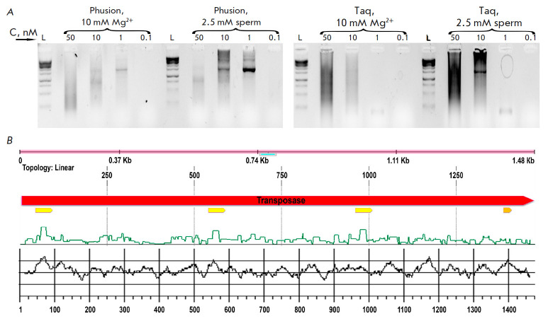 Modern Approaches to de novo Synthesis of Extended DNA Fragments: Assembly of a Wide Repertoire of Sequences.
