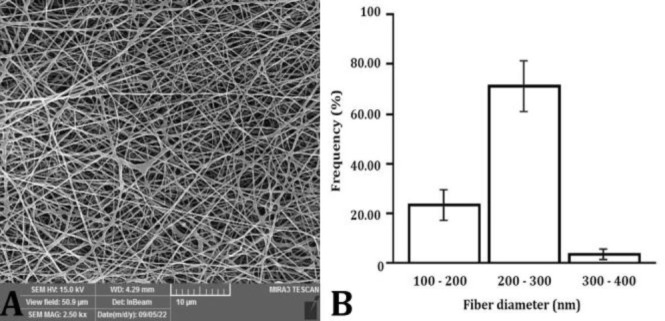 Effect of curcumin-loaded polycaprolactone scaffold on Achilles tendon repair in rats.