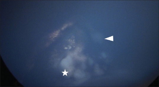 Abstract Image