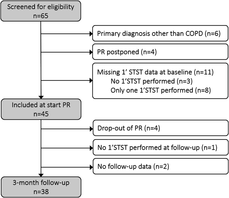 The one-minute sit-to-stand test: A practical tool for assessing functional exercise capacity in patients with COPD in routine clinical practice.