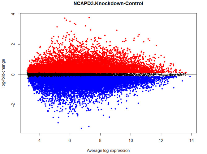 Targeting the NCAPD3 gene activates EGFR and ASNS as two pivotal contributors to gastric cancer progression.