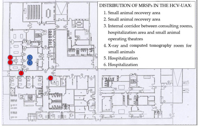 Prevalence and anti-microbial resistance of <i>Staphylococcus</i> spp. isolated from the environment and veterinary personnel in a Spanish veterinary teaching hospital.