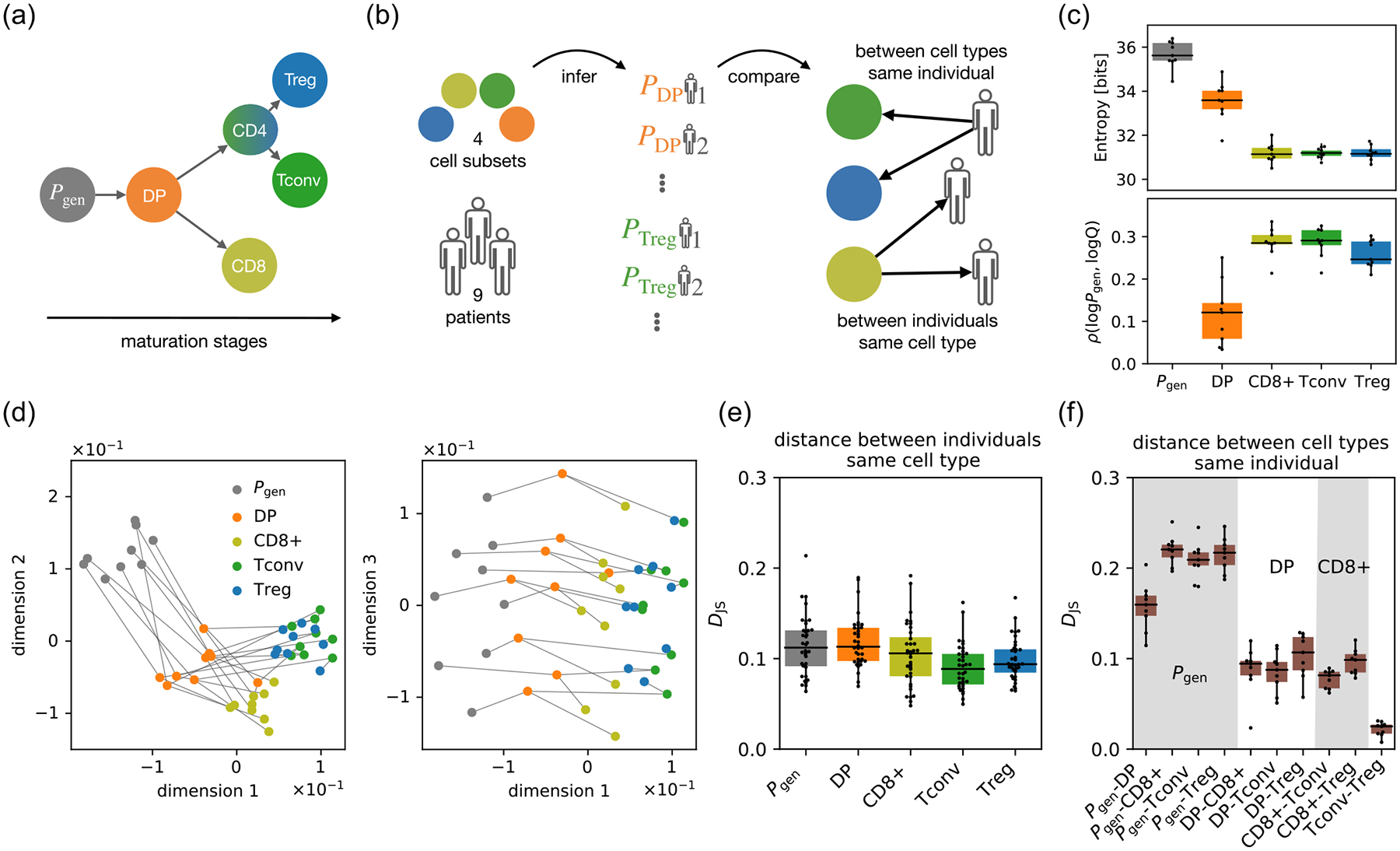 Local and Global Variability in Developing Human T-Cell Repertoires.