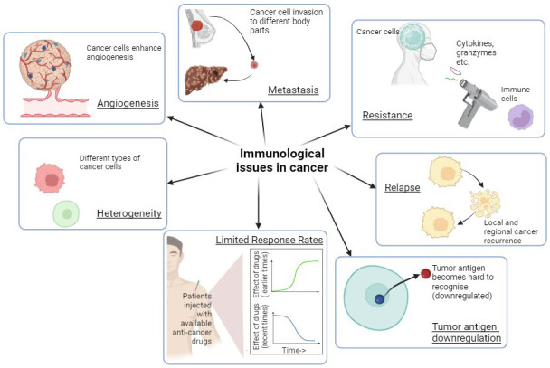 Anticancer peptides as novel immunomodulatory therapeutic candidates for cancer treatment.