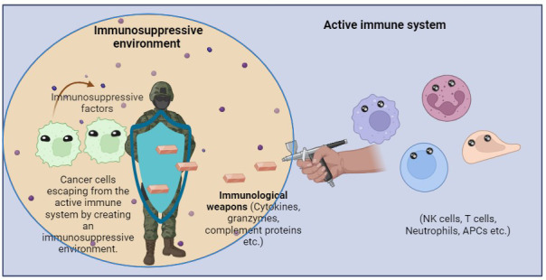Anticancer peptides as novel immunomodulatory therapeutic candidates for cancer treatment.
