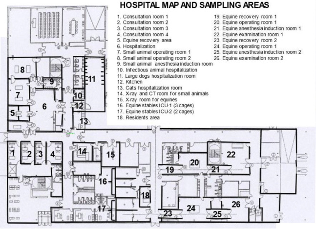 Prevalence and anti-microbial resistance of <i>Staphylococcus</i> spp. isolated from the environment and veterinary personnel in a Spanish veterinary teaching hospital.