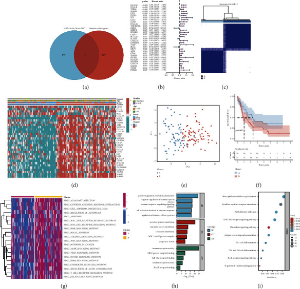 Integrated Analysis of Single-Cell RNA-Seq and Bulk RNA-Seq Unravels the Molecular Feature of Tumor-Associated Macrophage of Acute Myeloid Leukemia.