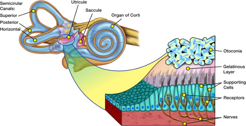 Abstract Image
