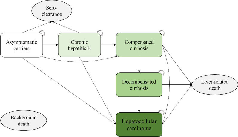 Assessing the impact of comorbid type 2 diabetes mellitus on the disease burden of chronic hepatitis B virus infection and its complications in China from 2006 to 2030: a modeling study.