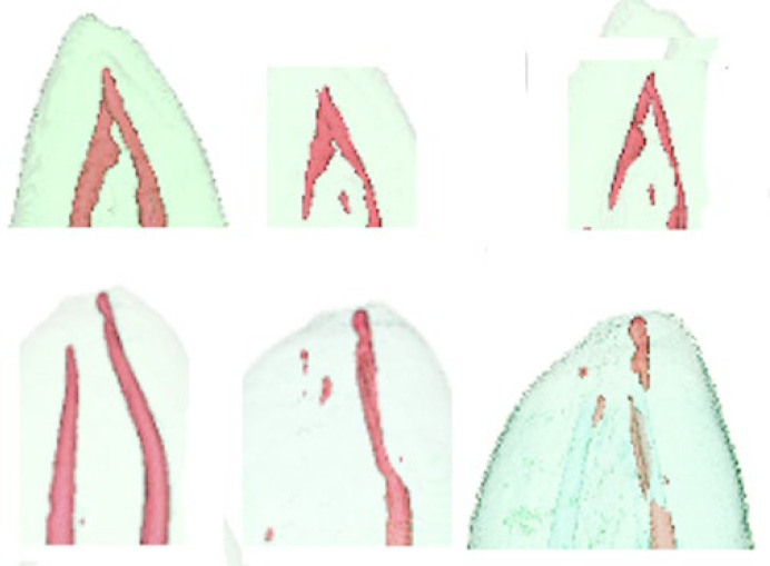Abstract Image