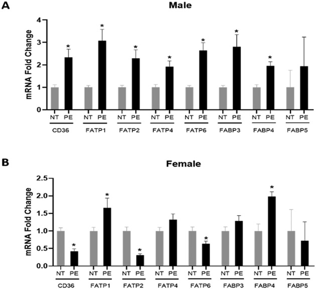 Sex-Specific Dysregulation of Placental Lipid Metabolism in Preeclampsia.