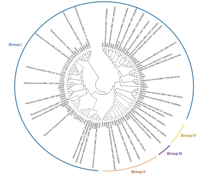 Diversity and antimicrobial activity of the tropical ant-derived actinomycetes isolated from Thailand.