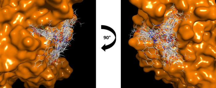 Potential Otubain1 Inhibitor, an Approach for a Treatment against Breast Cancer.