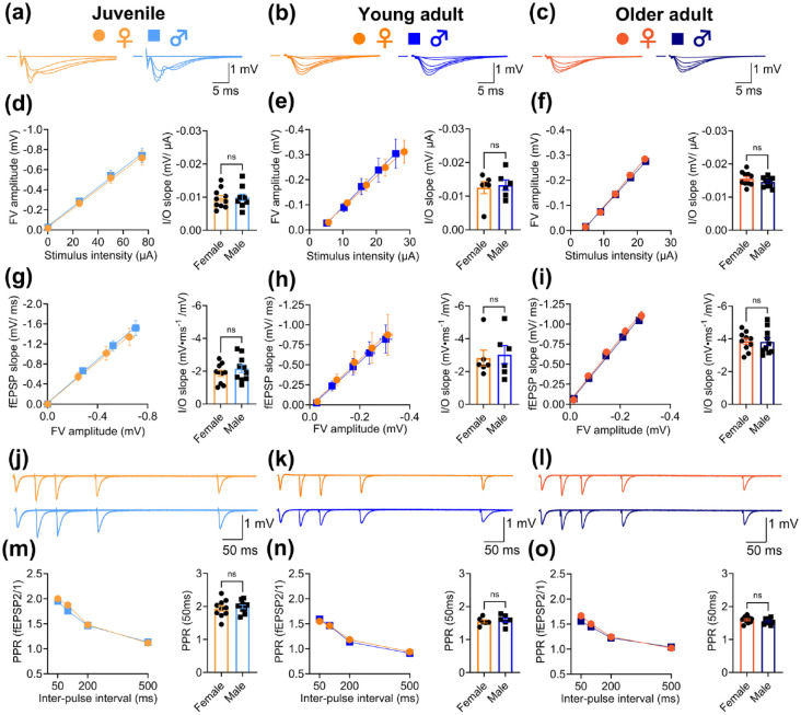 Sex-dependence of synaptic depression induced by activation of metabotropic glutamate receptors in rat hippocampus.
